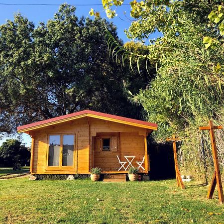 Woodhouse Villa São Pedro do Estoril Exteriör bild