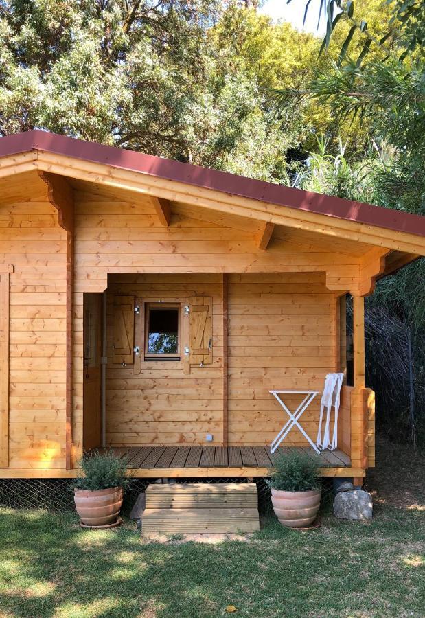 Woodhouse Villa São Pedro do Estoril Exteriör bild